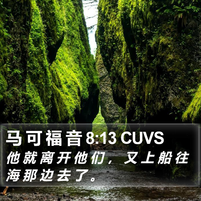 马 可 福 音 8:13 CUVS Bible Study