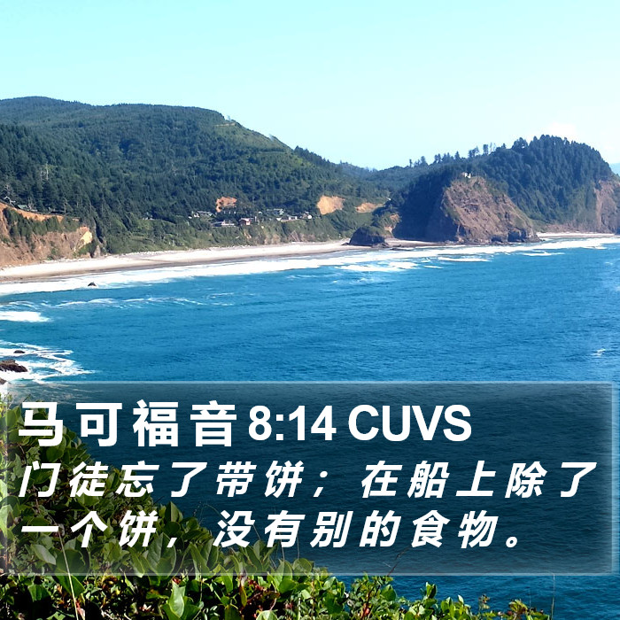 马 可 福 音 8:14 CUVS Bible Study