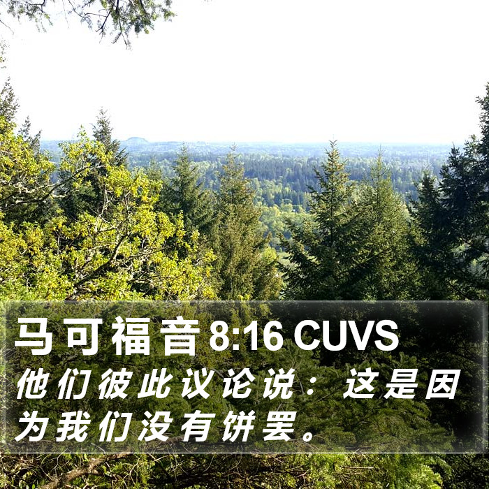 马 可 福 音 8:16 CUVS Bible Study