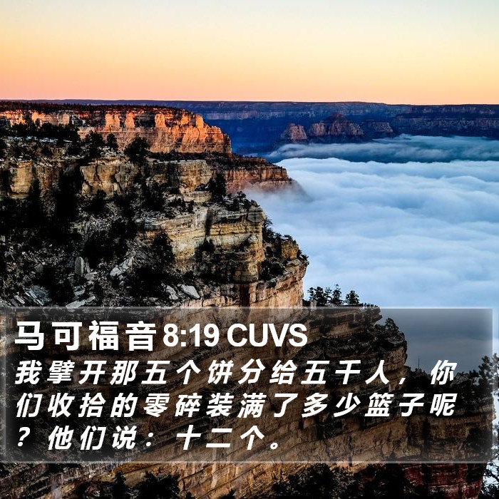 马 可 福 音 8:19 CUVS Bible Study