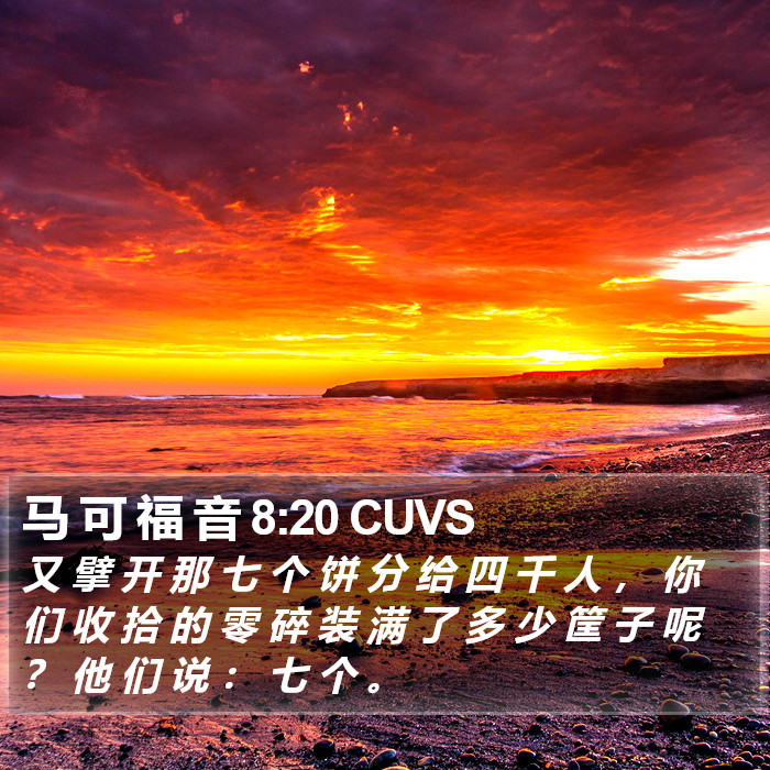 马 可 福 音 8:20 CUVS Bible Study