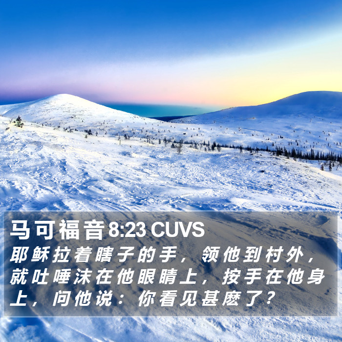 马 可 福 音 8:23 CUVS Bible Study