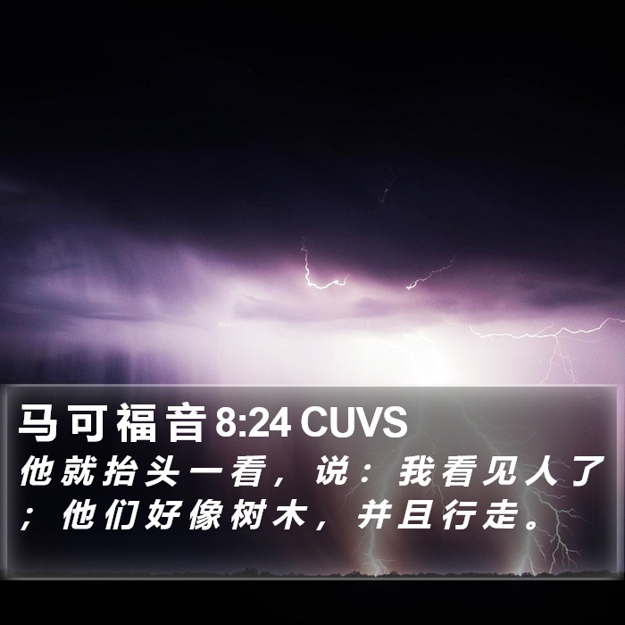 马 可 福 音 8:24 CUVS Bible Study