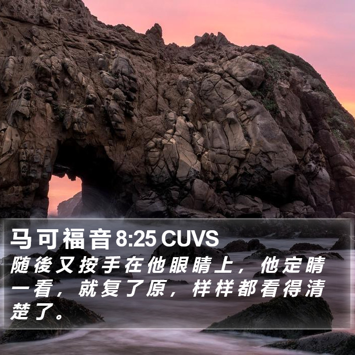 马 可 福 音 8:25 CUVS Bible Study