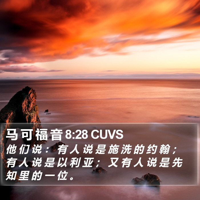 马 可 福 音 8:28 CUVS Bible Study