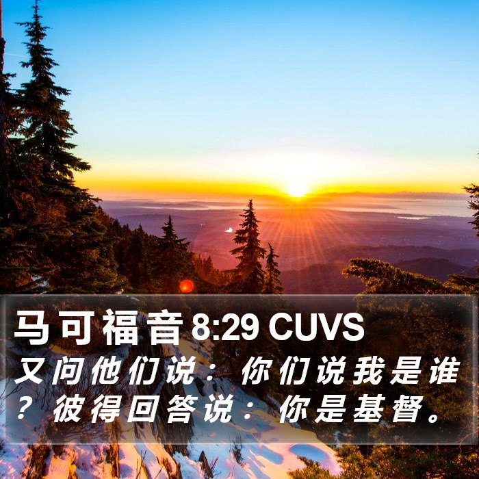 马 可 福 音 8:29 CUVS Bible Study