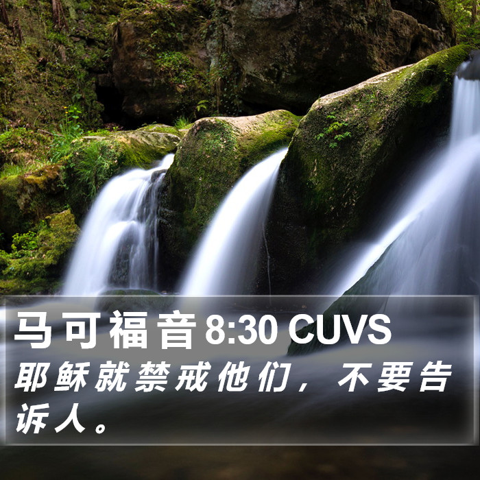 马 可 福 音 8:30 CUVS Bible Study