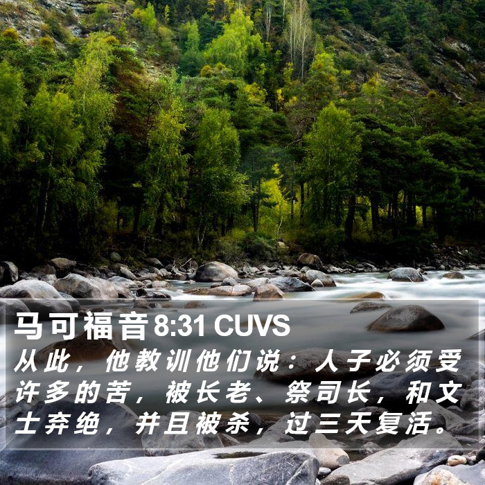 马 可 福 音 8:31 CUVS Bible Study