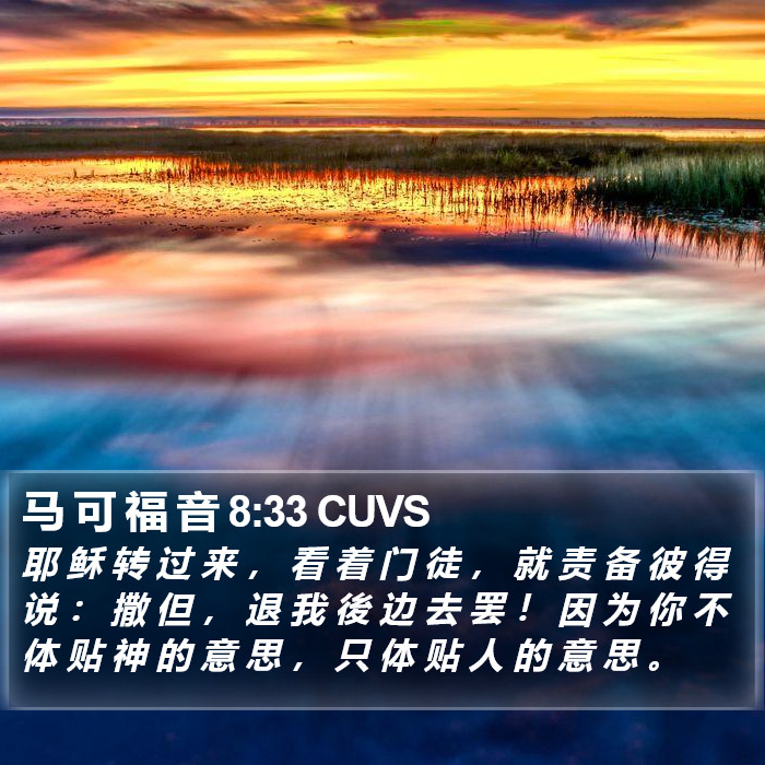 马 可 福 音 8:33 CUVS Bible Study