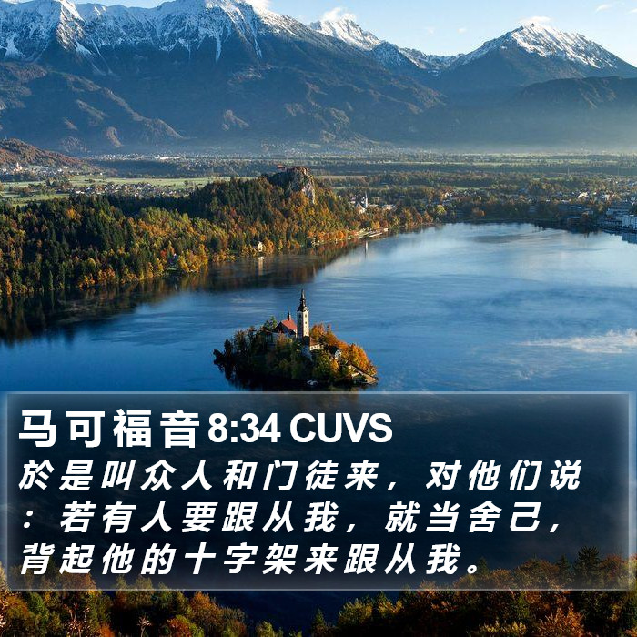 马 可 福 音 8:34 CUVS Bible Study