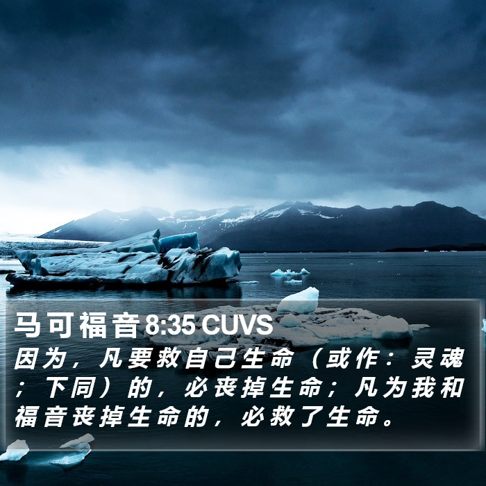 马 可 福 音 8:35 CUVS Bible Study