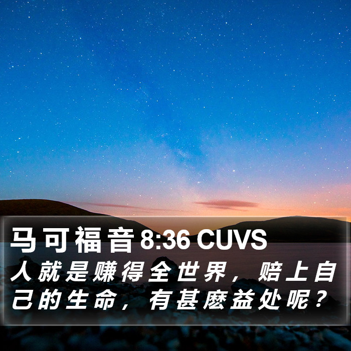 马 可 福 音 8:36 CUVS Bible Study