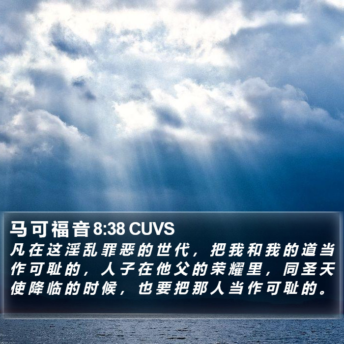 马 可 福 音 8:38 CUVS Bible Study