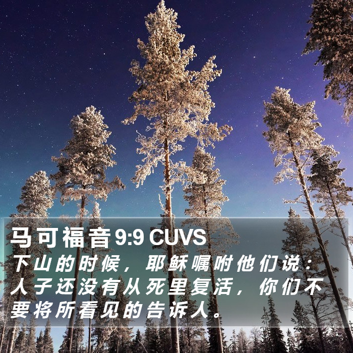 马 可 福 音 9:9 CUVS Bible Study