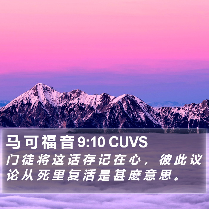 马 可 福 音 9:10 CUVS Bible Study