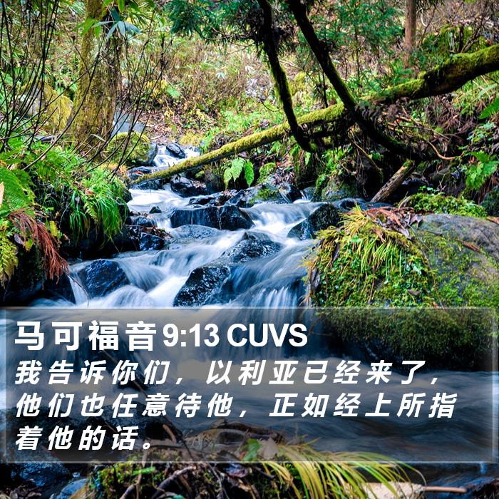 马 可 福 音 9:13 CUVS Bible Study