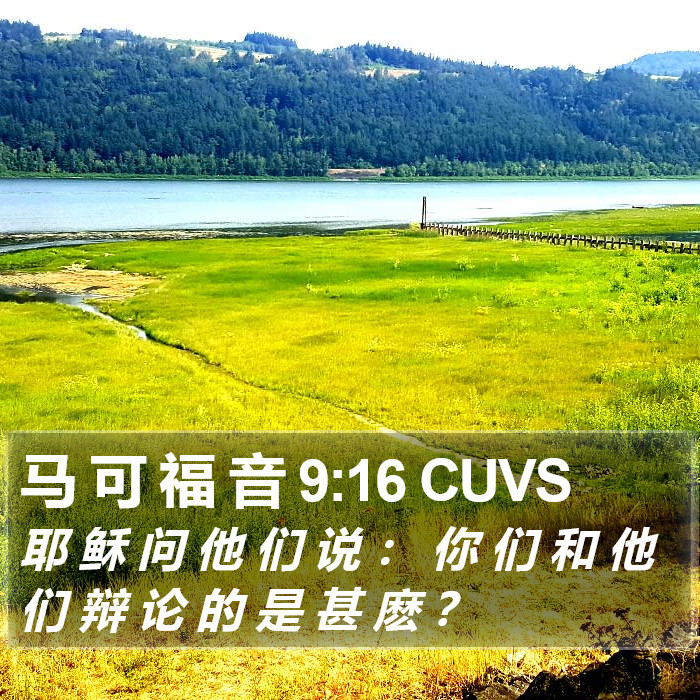 马 可 福 音 9:16 CUVS Bible Study