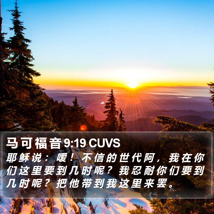 马 可 福 音 9:19 CUVS Bible Study