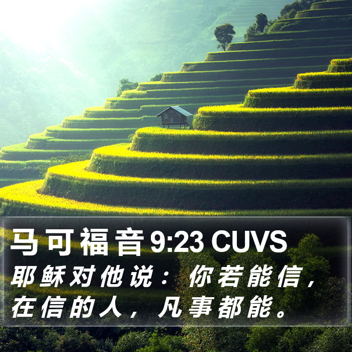 马 可 福 音 9:23 CUVS Bible Study
