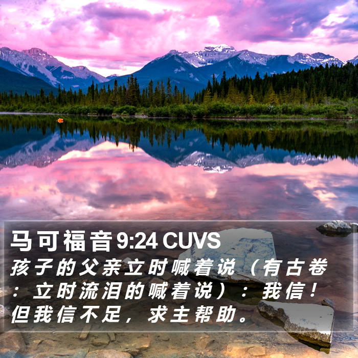 马 可 福 音 9:24 CUVS Bible Study