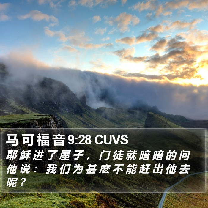 马 可 福 音 9:28 CUVS Bible Study