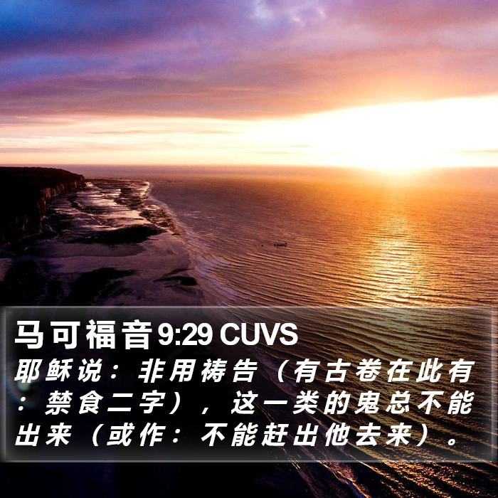 马 可 福 音 9:29 CUVS Bible Study