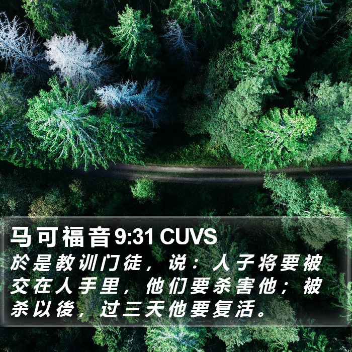 马 可 福 音 9:31 CUVS Bible Study