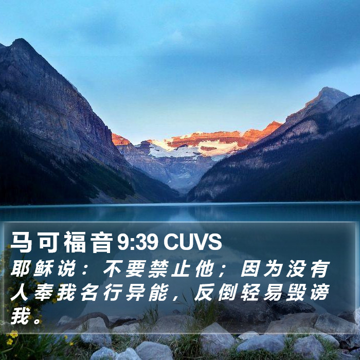 马 可 福 音 9:39 CUVS Bible Study