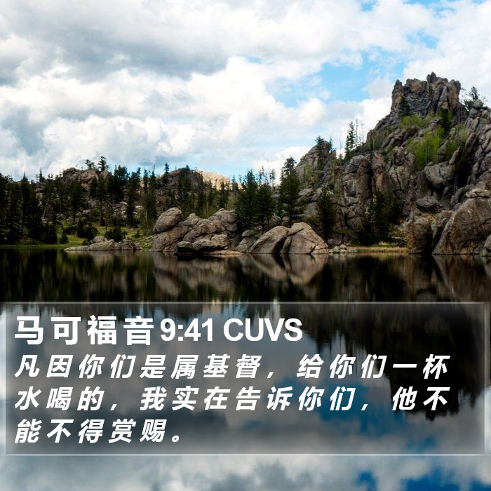 马 可 福 音 9:41 CUVS Bible Study