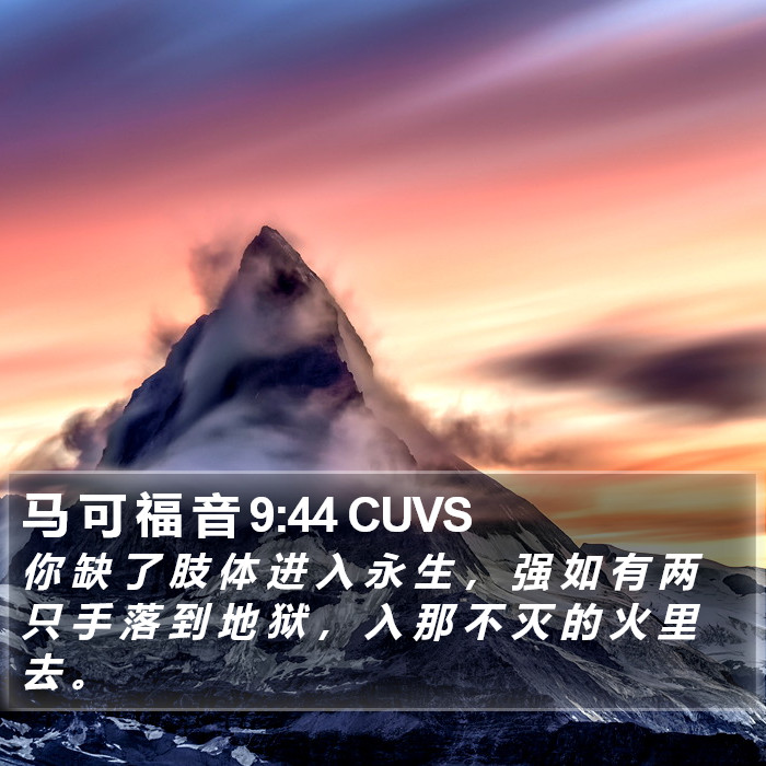 马 可 福 音 9:44 CUVS Bible Study
