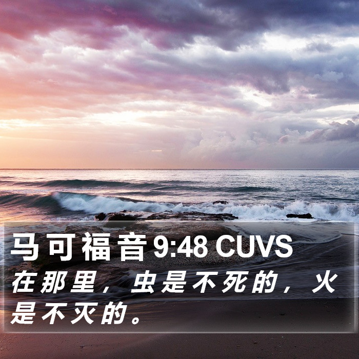 马 可 福 音 9:48 CUVS Bible Study