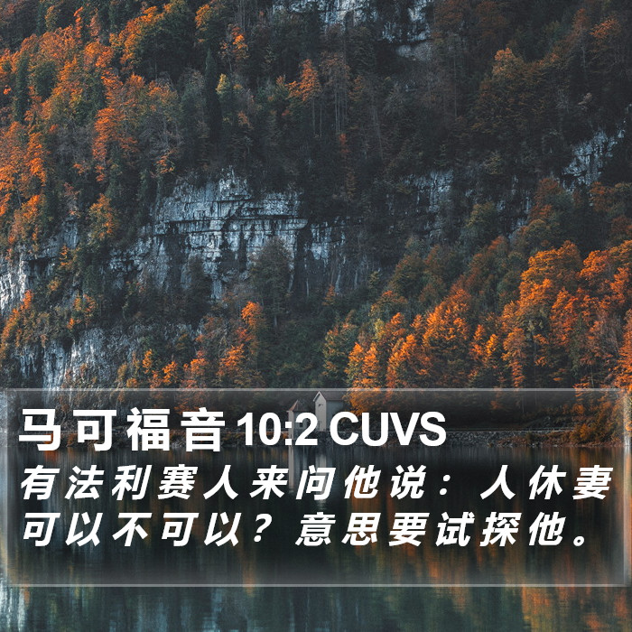 马 可 福 音 10:2 CUVS Bible Study