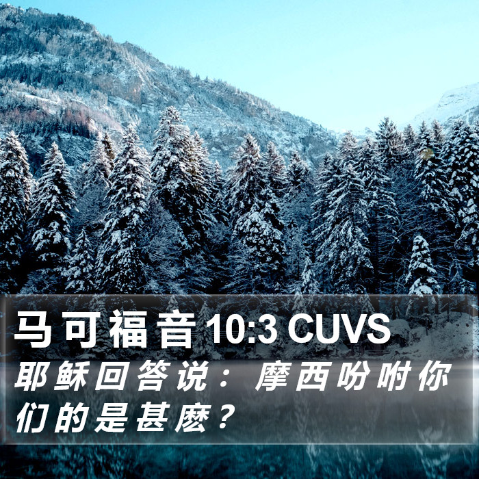 马 可 福 音 10:3 CUVS Bible Study