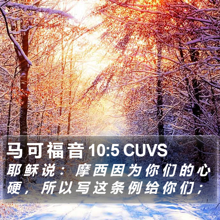 马 可 福 音 10:5 CUVS Bible Study