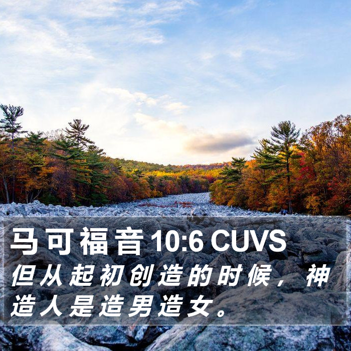 马 可 福 音 10:6 CUVS Bible Study