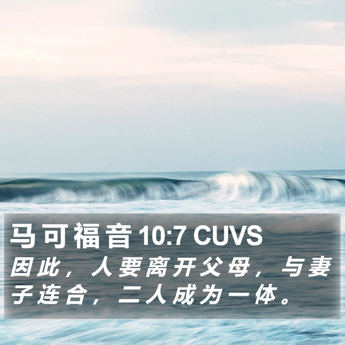 马 可 福 音 10:7 CUVS Bible Study