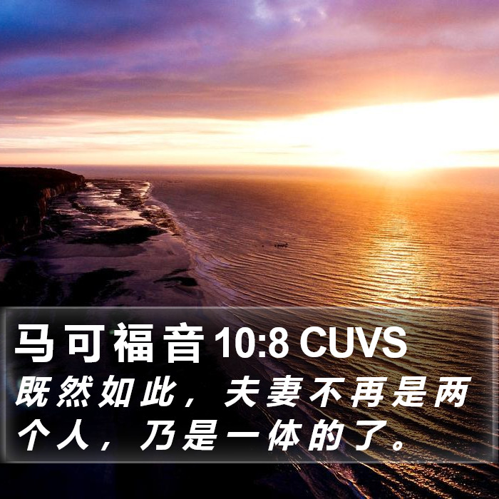 马 可 福 音 10:8 CUVS Bible Study