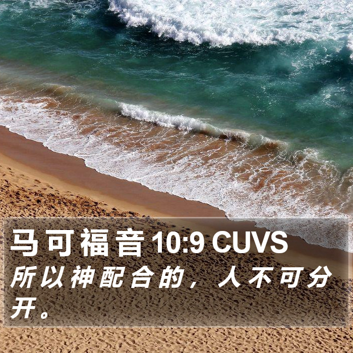 马 可 福 音 10:9 CUVS Bible Study