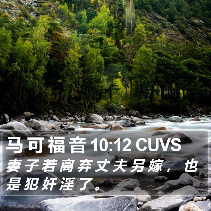 马 可 福 音 10:12 CUVS Bible Study