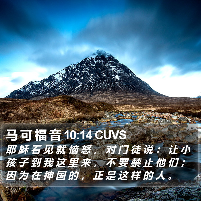 马 可 福 音 10:14 CUVS Bible Study