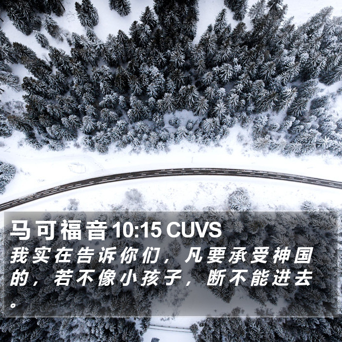 马 可 福 音 10:15 CUVS Bible Study