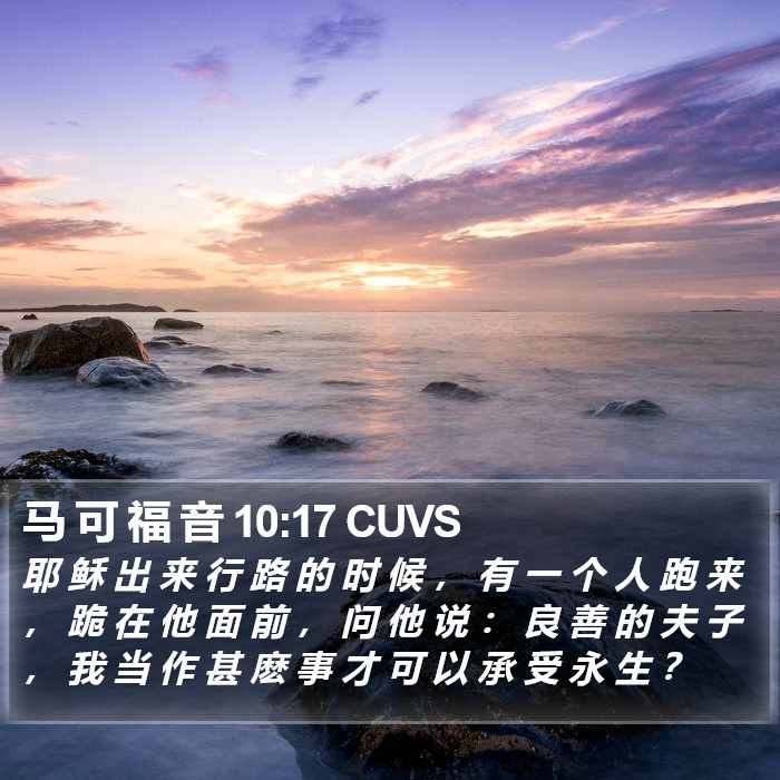 马 可 福 音 10:17 CUVS Bible Study