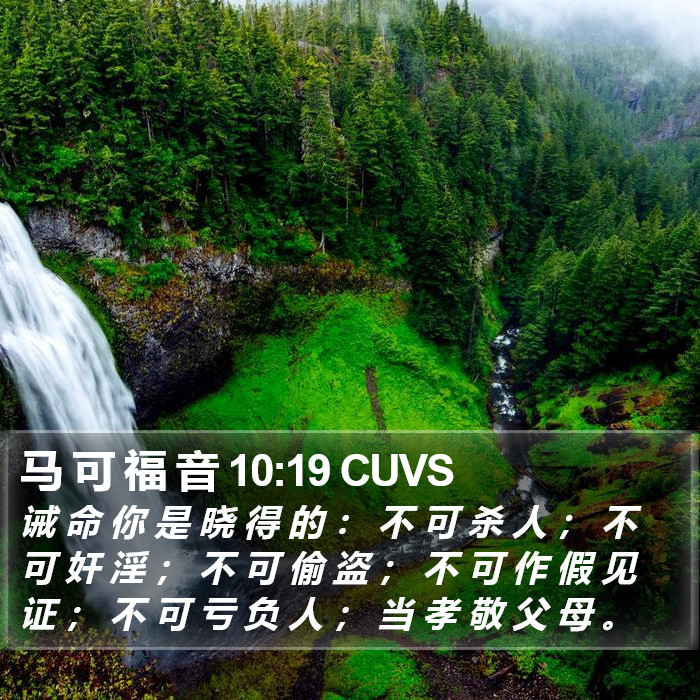 马 可 福 音 10:19 CUVS Bible Study