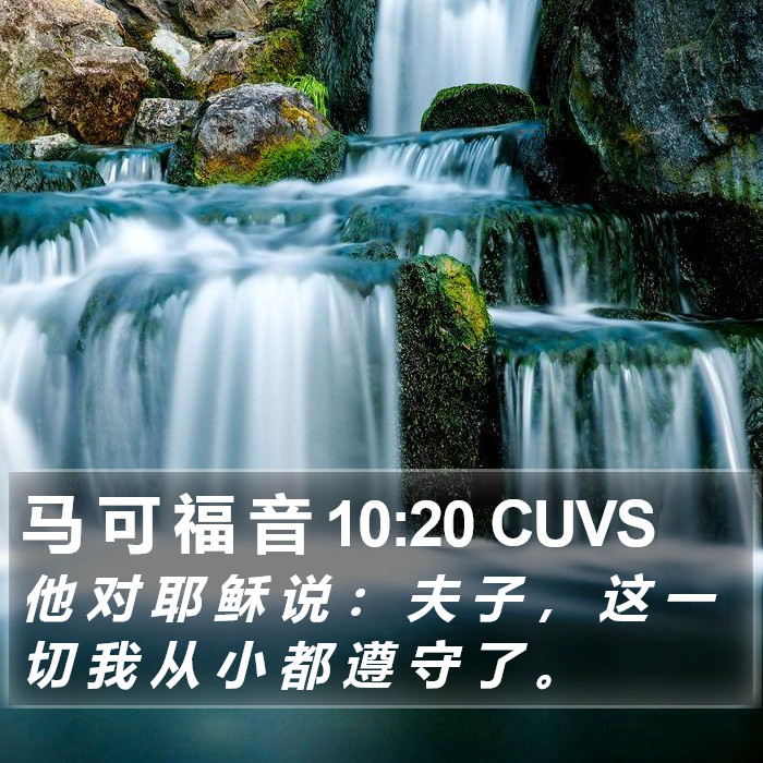 马 可 福 音 10:20 CUVS Bible Study