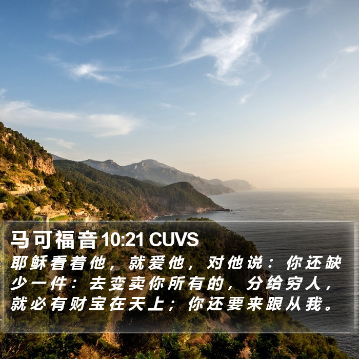 马 可 福 音 10:21 CUVS Bible Study