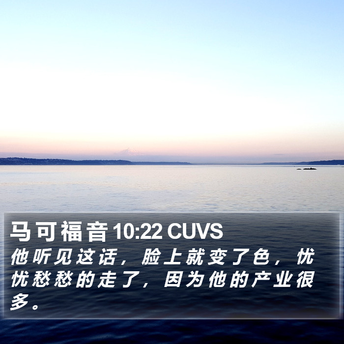 马 可 福 音 10:22 CUVS Bible Study