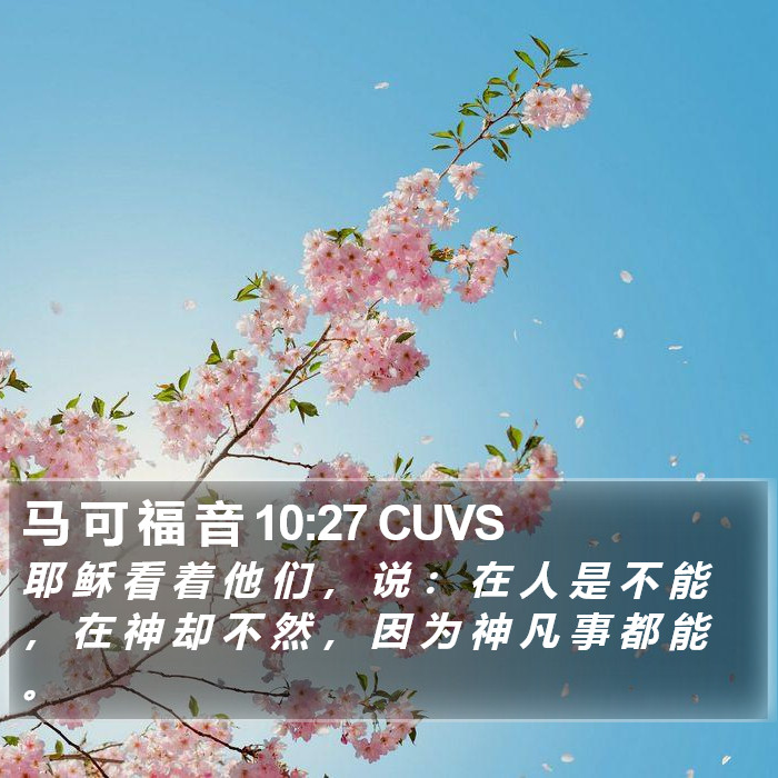 马 可 福 音 10:27 CUVS Bible Study