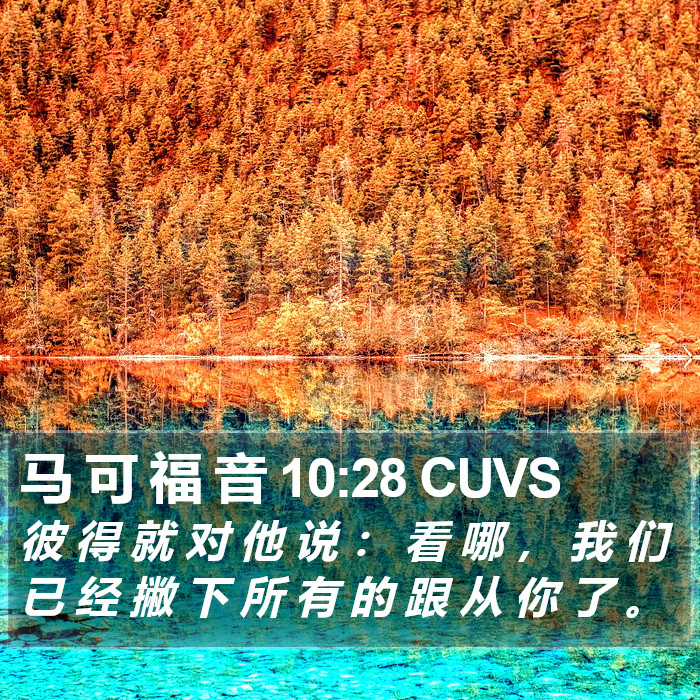 马 可 福 音 10:28 CUVS Bible Study