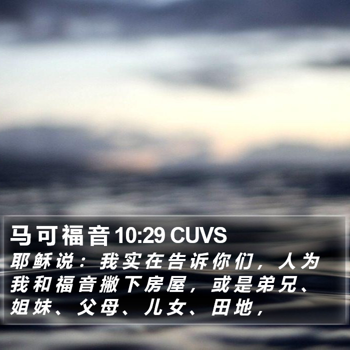 马 可 福 音 10:29 CUVS Bible Study