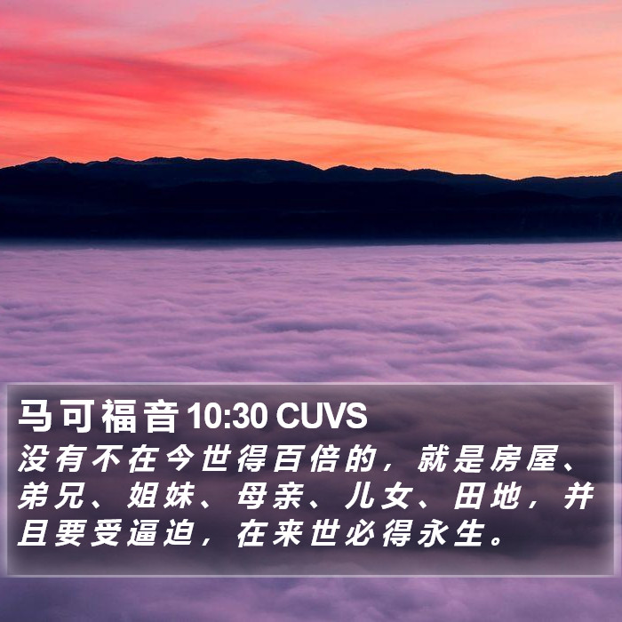 马 可 福 音 10:30 CUVS Bible Study